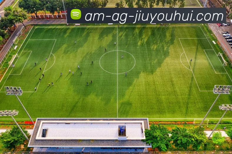 AG九游会官网平台生态图