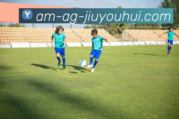 AG九游会官网APP 封面图